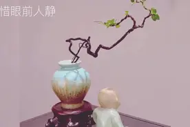 根艺造型的极品黑骨茶盆景，端庄优雅，亭亭玉立的清雅气质！视频封面