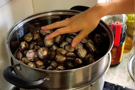 这才是毛蛤蜊最正确的做法，比吃花甲还过瘾，做法简单，太香了
