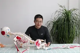 练瑜伽、压腿、劈叉引起大腿根痛，2分钟学会这样来解除疼痛视频封面