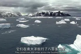 气候变化对南极地貌和生物的影响