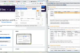 firefox浏览器安装proxy插件，方便抓包使用