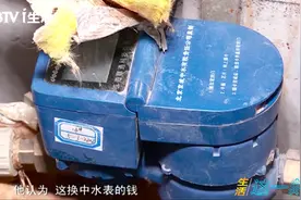 不省钱反而费钱！中水表坏了为何要自己掏钱换？视频封面