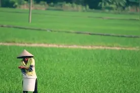 农村养老金没按时到账？其实是这3种情况造成的，解决方法在这里视频封面