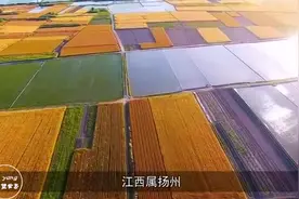 中国三个带“江”的省：哪个最有前途？哪座城市最先进入超一线视频封面