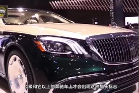 为什么奔驰有“死鸟”标志，老司机可能也不清楚，这里告诉你真相视频封面