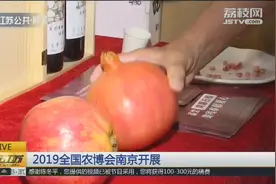 全国农博会南京开展，稀奇农作物大饱眼福，这样的石榴你见过吗？视频封面