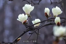 女人交往过很多男人，身上会有这几个“痕迹”，骗不了人视频封面