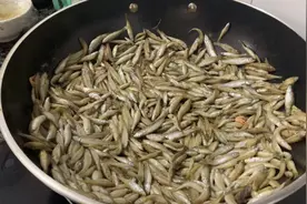 水库搞的小鱼仔，回家小伙油煎，后续碳火烘干，又一道美味佳肴视频封面