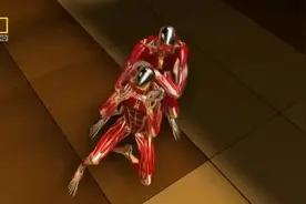 世界各流派武术招式汇总分解-街头自卫术致命攻击第四式-致盲指钩