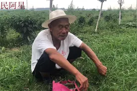 老伴去世了，到底该不该再找一个老伴？听听76岁农村大爷的心里话