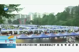 教育部：引导教师潜心育人，落实教授应该全员为本科生上课的要求视频封面