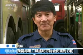 这个地方消防员每年捕蛇800条！每次抓蛇都徒手他说出原因很暖心视频封面