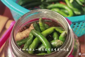 泡菜水到底能不能反复用？需要注意哪些地方？视频封面