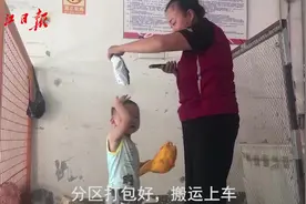 最萌导航员！3岁“淘宝”护送妈妈送快递视频封面