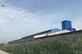 大连人常喝的当地牛奶原来产自这里视频封面