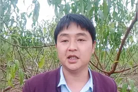 四川种植技术员，胭脂脆桃为什么最贵，听听这位大娘怎么说？视频封面