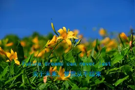 莎拉·布莱曼 - Winter In July 七月里的冬天 非常好听的歌曲