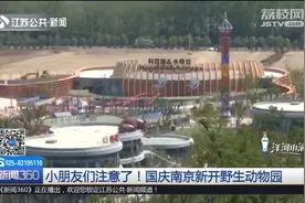小朋友们注意了！国庆南京新开野生动物园，里面有近万只动物！视频封面