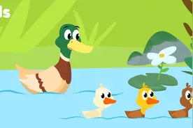 鸭妈妈带着5只小鸭子去池塘里学游泳《Five Little Ducks》唱儿歌
