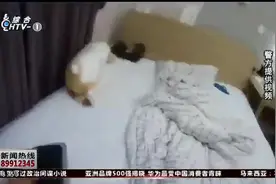女子白天房间突然很臭，晚上睡觉感觉有人走动，开灯一看吓坏了视频封面
