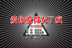 金艾娜 - 爱你爱得发了疯（DJ何鹏版）MTV