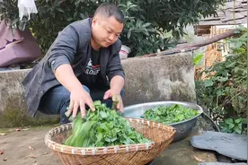 在农村油菜籽苗这样做出来，即可以用来烧汤喝，又可以炒出来下饭