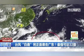 台风“白鹿”将正面袭击广东！最强可达12级