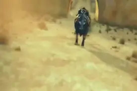 一个王者带三个青铜路上打野的故事，吴京第一部喜剧片视频封面