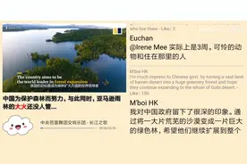 中国为保护森林而努力，国外网友评论：与此同时，亚马逊雨林的..视频封面