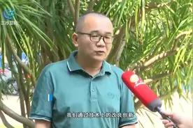 海南研究制订“菜篮子”项目补贴办法 重点支持种植生产环节视频封面