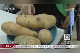 发芽变绿的土豆还能食用吗？专家通过实验验证，结果出乎意料视频封面