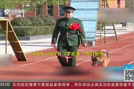 汶川地震中搜救15人 功勋犬沈虎去世视频封面