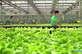 北京约2300万人口，如何满足每天将近2万吨的新鲜蔬菜供应呢？