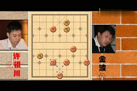 许银川淘汰赛很见功夫的一盘棋风采依旧啊视频封面