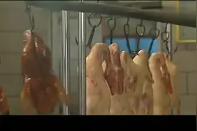 外国小孩中国爸：后爸展示片鸭技术，洋儿子看入迷了，后爸得意视频封面