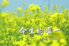 一首甜美的情侣对唱《今生的唯一》，很适合在婚礼上唱哦！