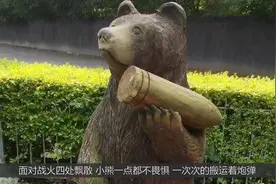 史上唯一当过兵的熊，获得过军衔也“出征”过，任务只是搬运炮弹视频封面