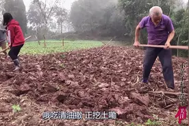 农村集体干活热闹场景，重体力劳动油水不足，赶紧种这榨油吃视频封面