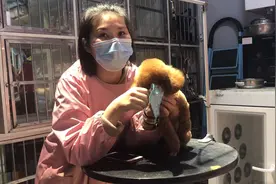 吐槽最让人无语的宠物用品，你有给你家狗狗佩戴过吗视频封面