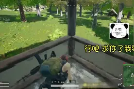 【高能爆笑】可爱陪玩小姐姐遇到老板之后手足无措...视频封面