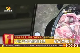 湘潭11人被审判！收购3万余斤病死猪肉，制成腊肉远销省外视频封面
