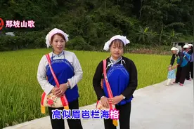 那坡山歌完整版 演唱男：农刚 刘靖 女：农新梅 马兰花视频封面