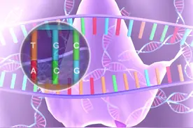 DNA转录 | 芥末生化堂视频封面