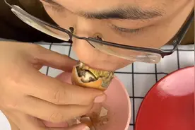 小伙开箱试吃“活珠子”，打开壳一看，竟是没孵化出来的小鸡视频封面