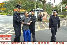 中国警方向越南警方移交一名国际红通在逃毒贩视频封面