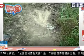 四川：赞！网红在家乡发现恐龙足迹，专家证实是肉食恐龙足迹化石视频封面