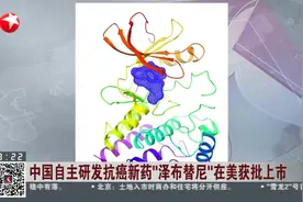 改写尴尬历史！中国自主研发抗癌新药“泽布替尼”在美获批上市视频封面