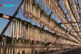 日本白萝卜的传统腌制方法，从采摘到晾干腌制全过程！