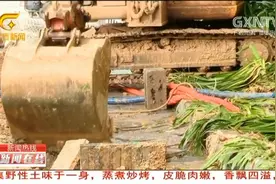 水务部门启动紧急预案 三辆送水车保群众用水视频封面