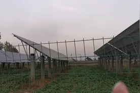 农村这种太阳能板，一块儿能发多少电？适合咱们农民家里使用吗？视频封面